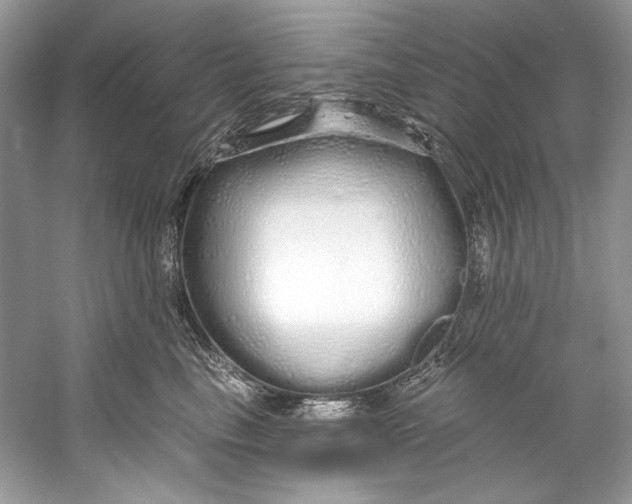 X0000060760665200512011515