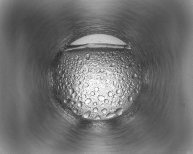 X0000060760666200512011515