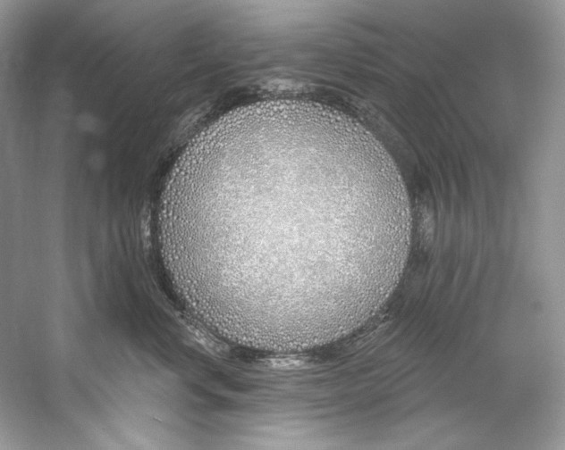 X0000060760668200512011515