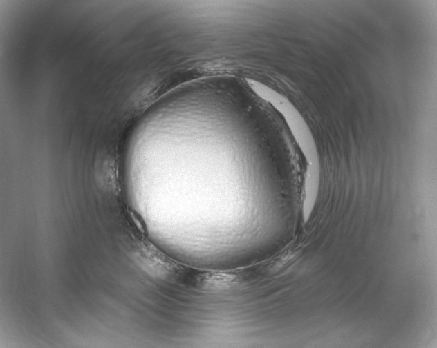 X0000060760669200512011515