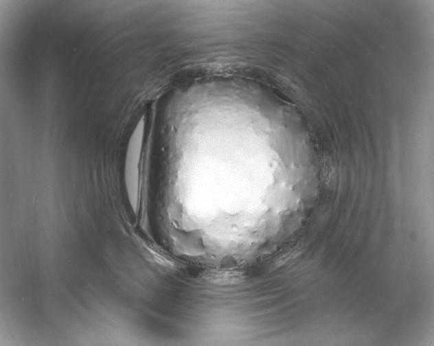 X0000060760670200512011515