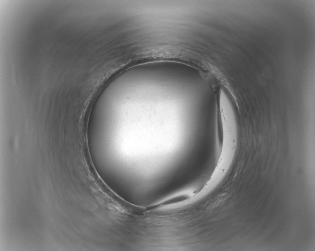 X0000060760673200512011514