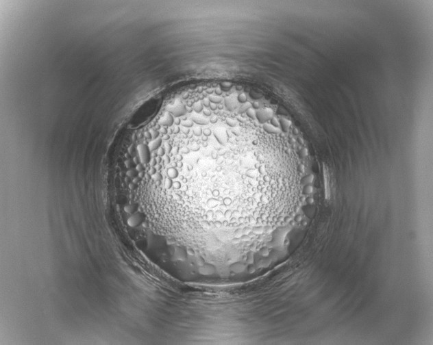 X0000060760675200512011514