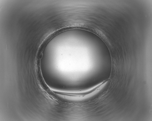 X0000060760676200512011514