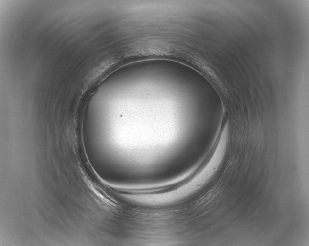 X0000060760677200512011514
