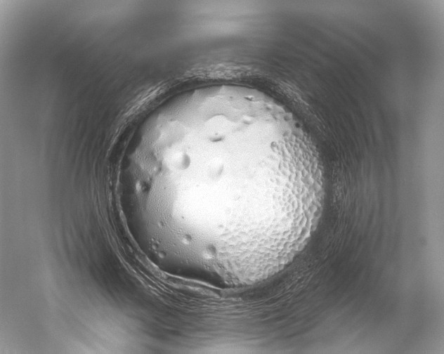 X0000060760683200512011514