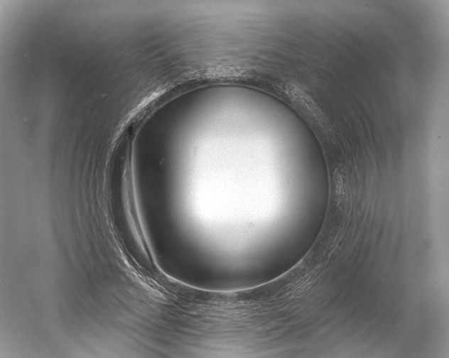 X0000060760684200512011514