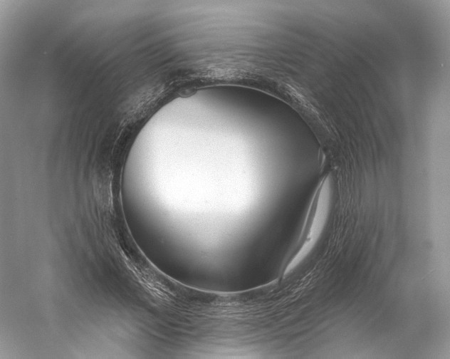 X0000060760685200512011514