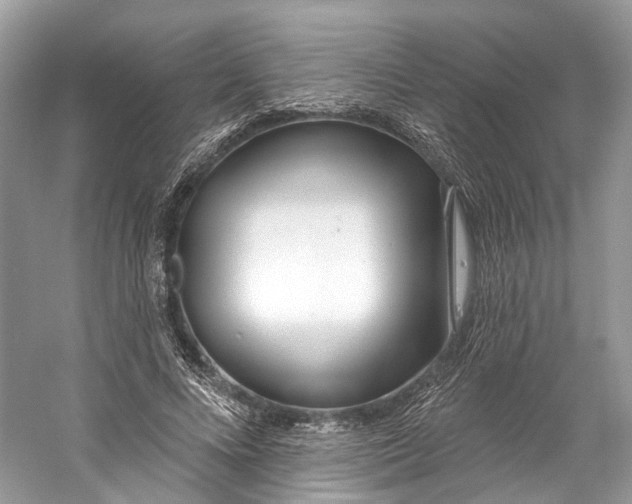 X0000060760688200512011514
