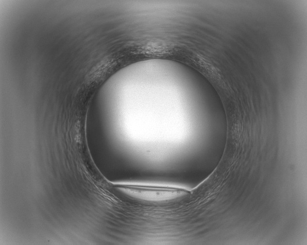 X0000060760689200512011514