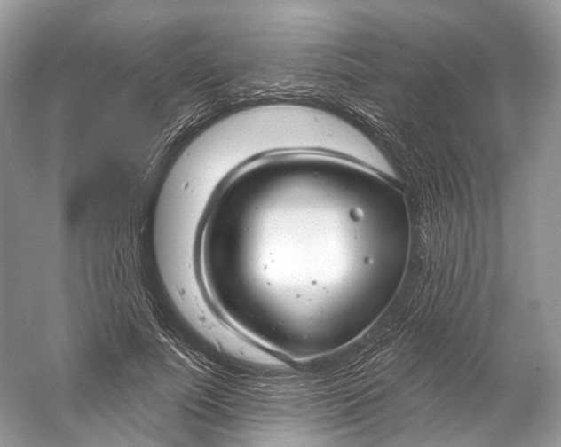 X0000060760691200512011514