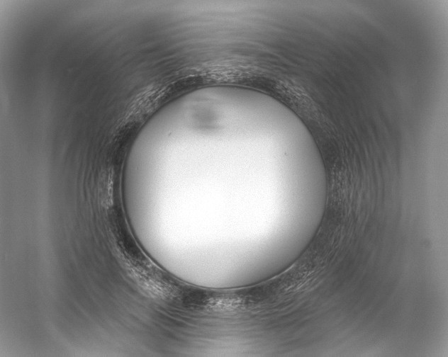 X0000060760694200512011514
