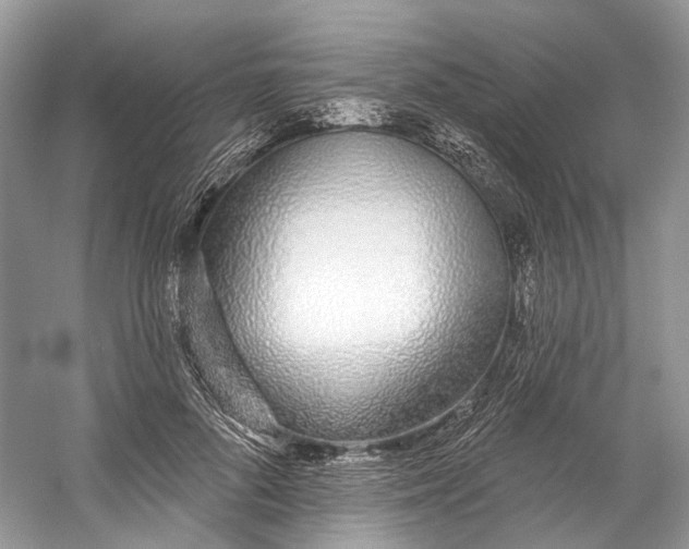 X0000060760696200512011514
