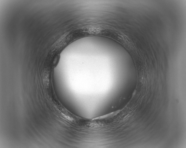 X0000060760697200512011514