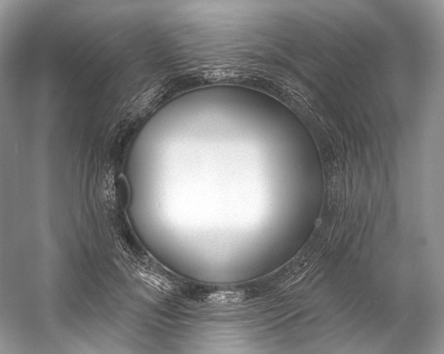 X0000060760700200512011514