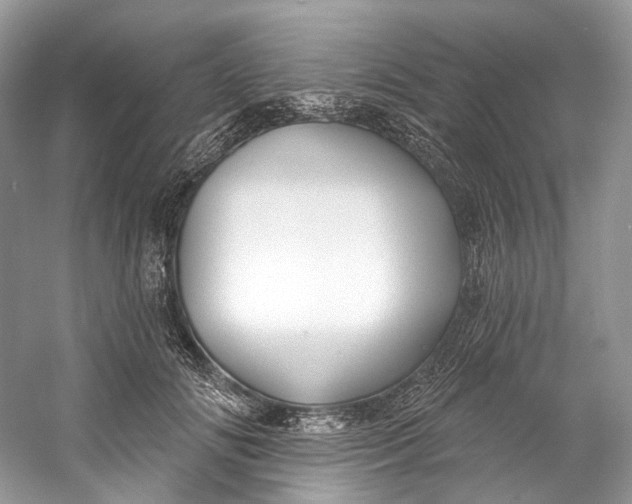 X0000060760702200512011514