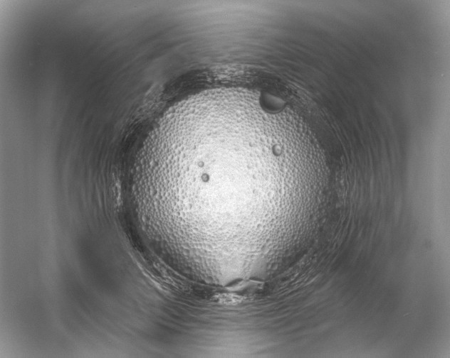 X0000060760703200512011514