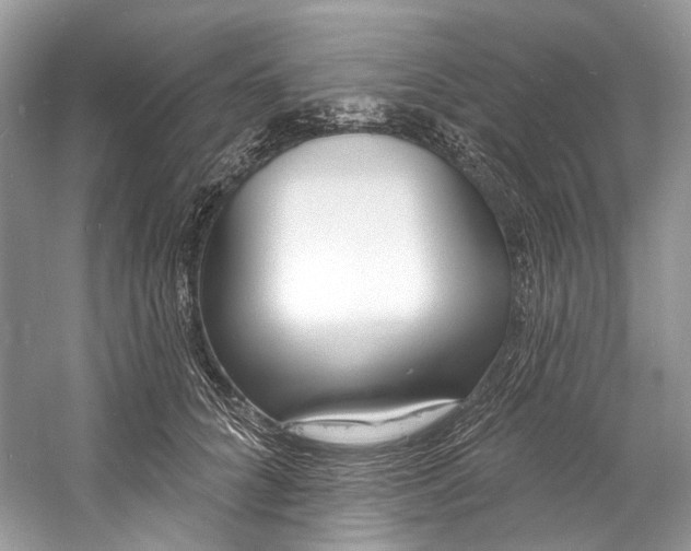 X0000060760704200512011514