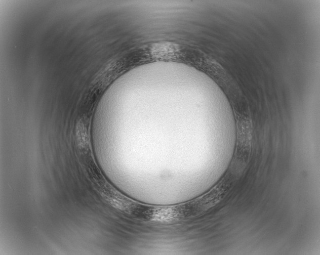 X0000060760705200512011514
