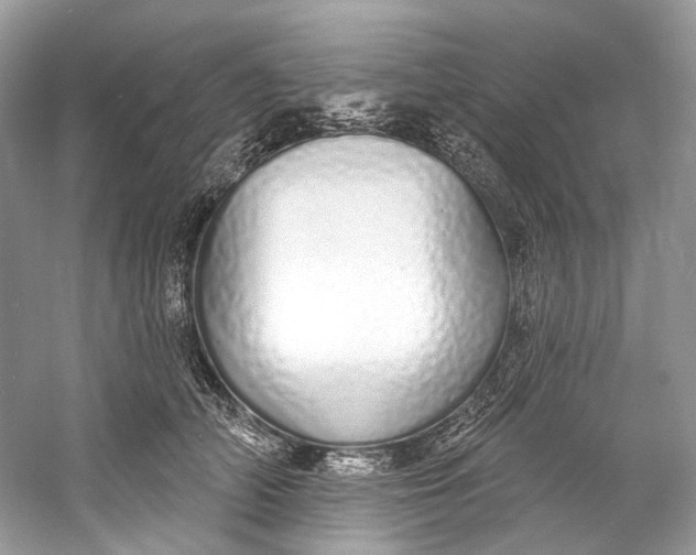 X0000060760706200512011514