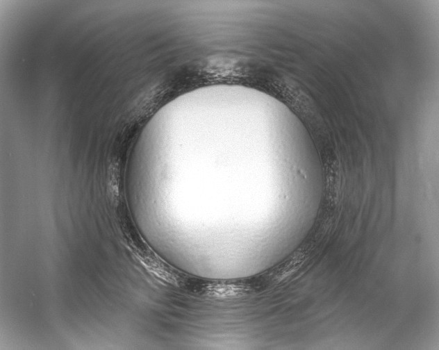 X0000060760710200512011514