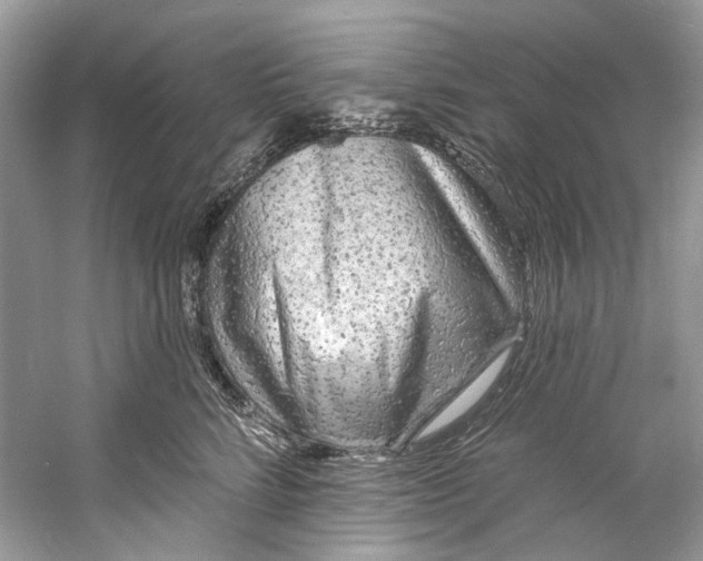 X0000060760712200512011514