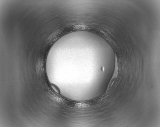 X0000060760714200512011514