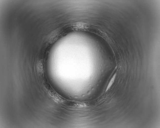 X0000060760715200512011514