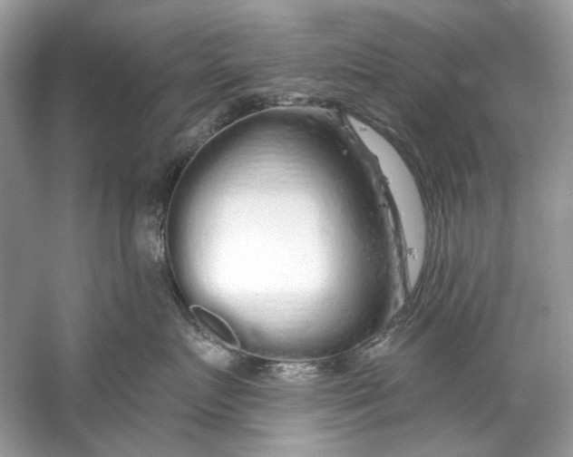 X0000060760719200512011514