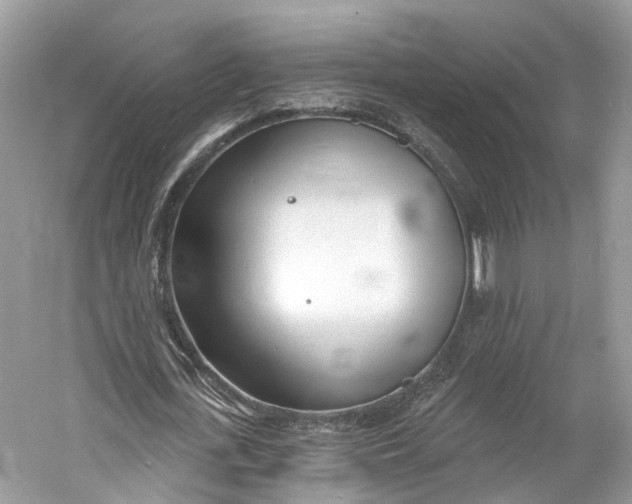 X0000060760723200512011513
