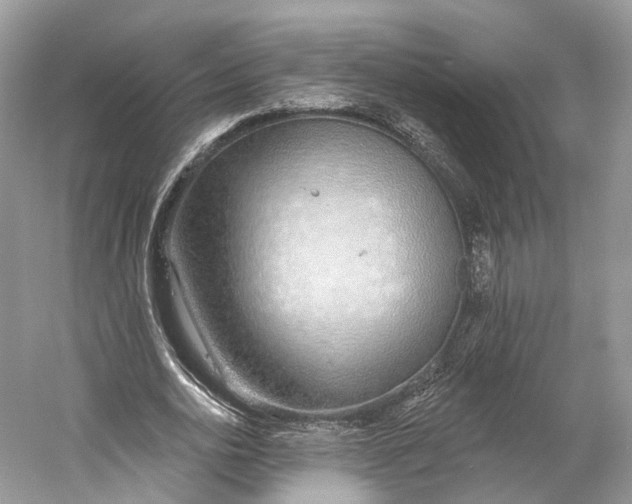 X0000060760726200512011513