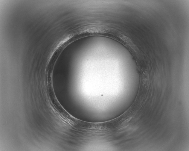 X0000060760727200512011513