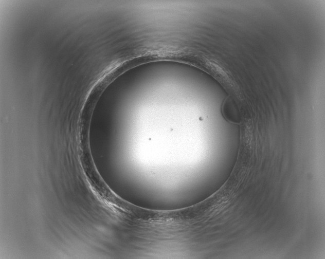 X0000060760730200512011513