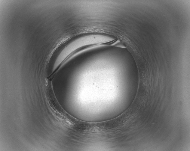 X0000060760731200512011513