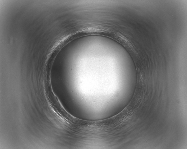 X0000060760732200512011513