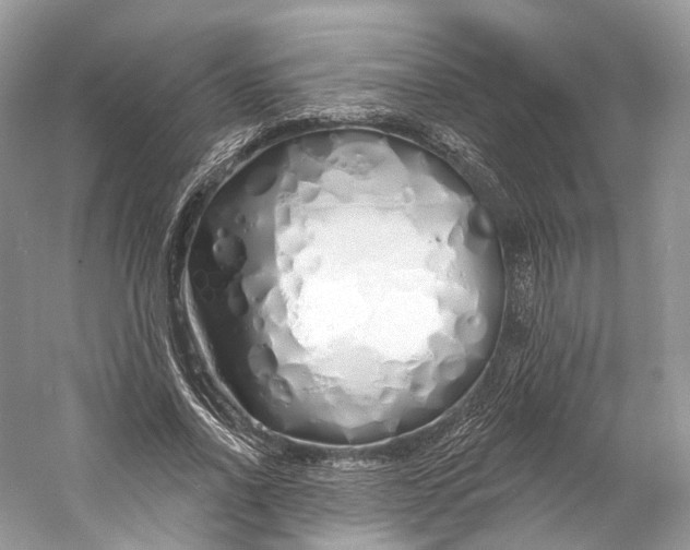 X0000060760734200512011513
