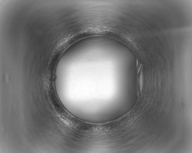 X0000060760736200512011513