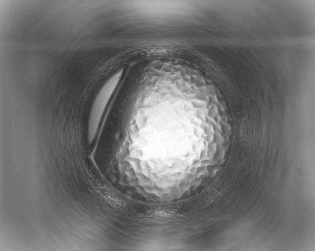 X0000060760737200512011513
