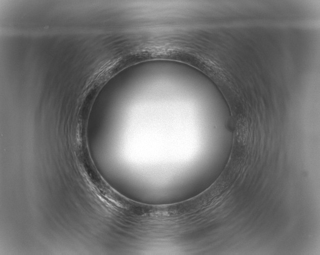 X0000060760740200512011513