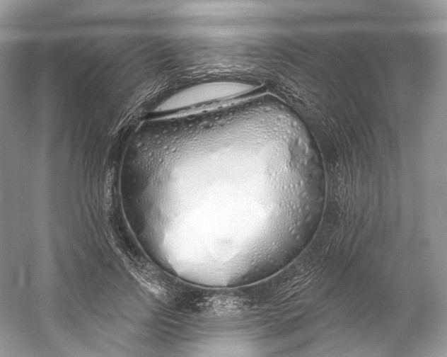 X0000060760742200512011513