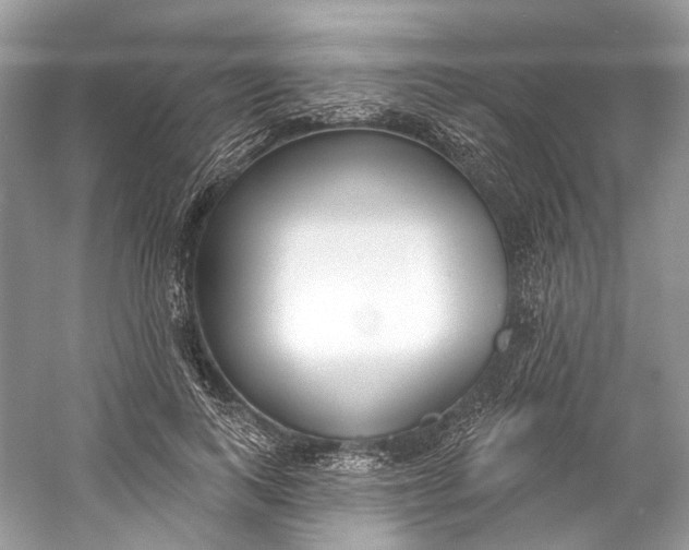 X0000060760743200512011513