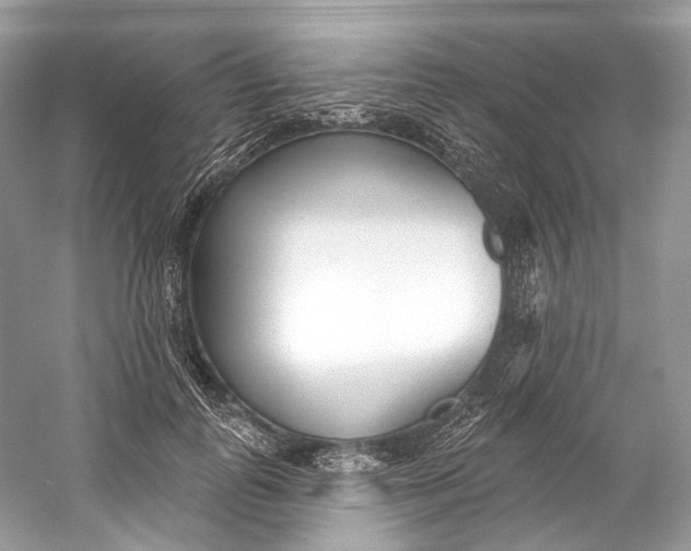 X0000060760747200512011513