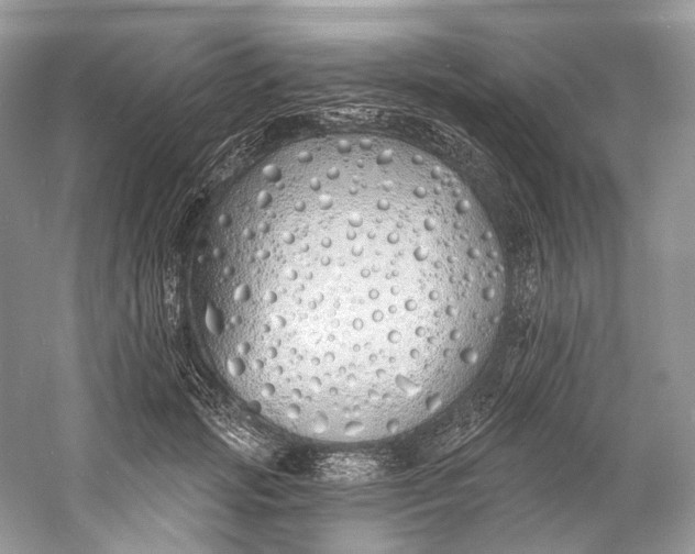 X0000060760749200512011513