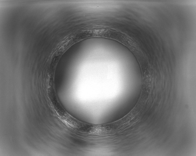 X0000060760750200512011513