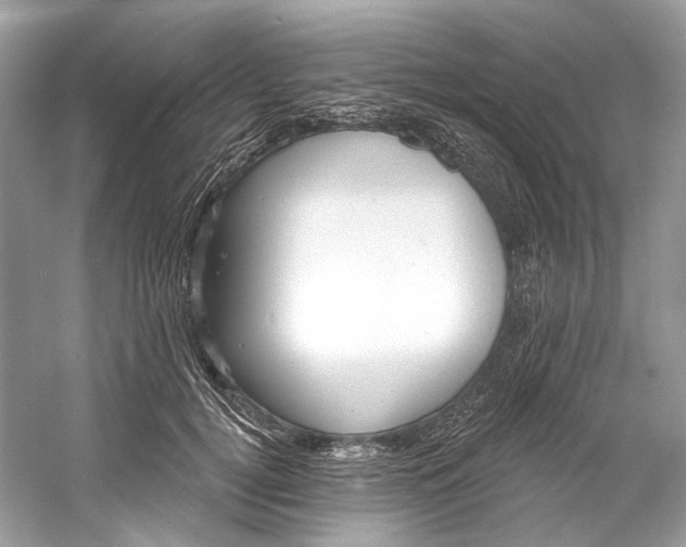 X0000060760752200512011513