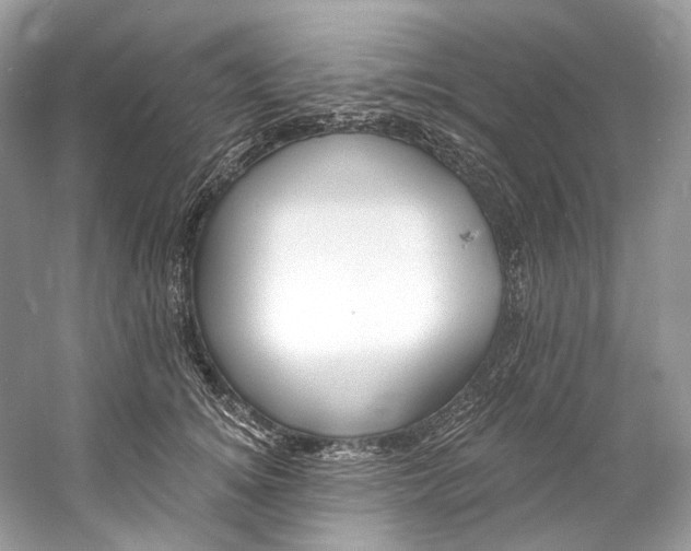 X0000060760756200512011513