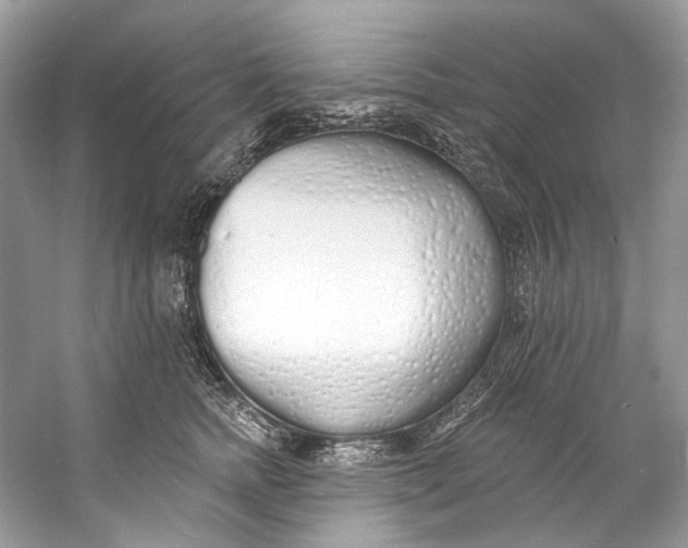 X0000060760758200512011513
