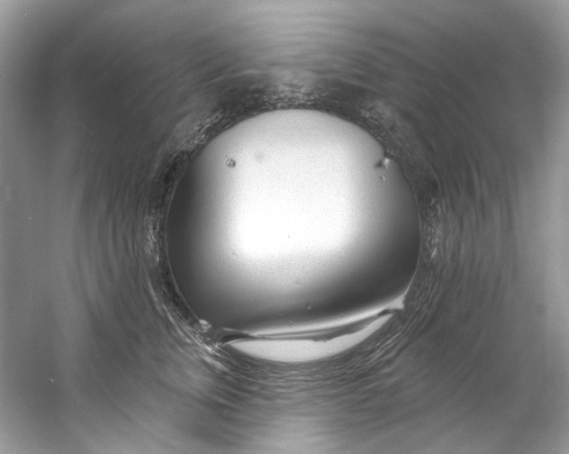 X0000060760759200512011513