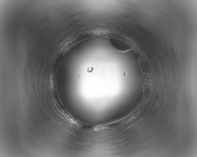 X0000060760762200512011513