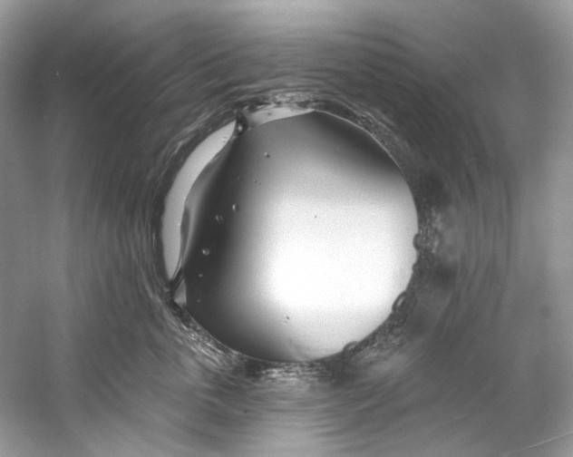 X0000060760763200512011513
